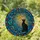 Black Cat Crescent Moon Star Tiffany Glass Mosaic - Intricate Celestial Decor Gift Stained Glass Suncatcher - 1