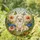 Pomeranian Dog Tiffany Stained Glass Art - Mosaic Sky Flowers Butterflies Pet Gift Stained Glass Suncatcher - 1