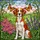 Brittany Spaniel Stained Glass Butterflies Daisies Lavender Meadow Dog Lover Gift Stained Glass Suncatcher - 5