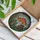 Amanita Muscaria Mushroom Stained Glass Art, Bookshelf, Quill Pen, Toadstool Garden Scene Stained Glass Suncatcher - 3