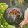Amanita Muscaria Mushroom Stained Glass Art, Bookshelf, Quill Pen, Toadstool Garden Scene Stained Glass Suncatcher - 2