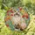 Ragdoll Cat Tiffany Style Stained Glass Floral - Poppies Mosaic Jewel Tone Art Stained Glass Suncatcher - 1