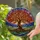 Gnarled Tree Autumn Leaves Tiffany Stained Glass Mountain Landscape Jewel Tones Stained Glass Suncatcher - 2