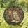 Wise Owl Stained Glass Books & Candle - Intricate Tiffany Jewel Tone Rose Vine Mosaic Stained Glass Suncatcher - 1