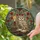 Wise Owl Stained Glass Books & Candle - Intricate Tiffany Jewel Tone Rose Vine Mosaic Stained Glass Suncatcher - 2