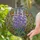 Delphinium Flowers Stained Glass Mosaic Art Tiffany Style Glowing Jewel Tones Window Stained Glass Suncatcher - 2
