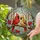 Cardinal Birds Stained Glass Style - Red Berries Blue Leaves Nature Window Decor Gift Stained Glass Suncatcher - 2