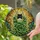 Black Cat Peeking Hanging Ivy Plant Stained Glass - Tiffany Garden Art Window Decor Stained Glass Suncatcher - 2