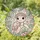 Kawaii Baby Sea Turtle Stained Glass Iridescent Glitter Shell Floral Crown Ocean Decor Art Stained Glass Suncatcher - 1