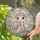 Kawaii Baby Sea Turtle Stained Glass Iridescent Glitter Shell Floral Crown Ocean Decor Art Stained Glass Suncatcher - 2