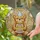 Teddy Bear Two-Tier Birthday Cake Party Hat Confetti Stained Glass Celebration Decor Stained Glass Suncatcher - 2