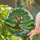 Ancient Weeping Willow Tree River Hills Mosaic Stained Glass Tiffany Jewel Tones Stained Glass Suncatcher - 2