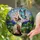 Siamese Cat Iridescent Butterfly Stained Glass Art - Tiffany Mosaic Landscape Twilight Stained Glass Suncatcher - 2