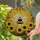 Bumblebee Sunflower Stained Glass Mosaic Art - Tiffany Jewel Tone Golden Sky Garden Decor Stained Glass Suncatcher - 2