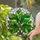 Tiffany Style Stained Glass Jewel Tone Veined Green Leaves White Mosaic Home Decor Stained Glass Suncatcher - 2