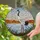 Red-crowned Crane Stained Glass Wetland Landscape Mosaic - Tiffany Style Bird Art Stained Glass Suncatcher - 2