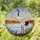 Red-crowned Crane Stained Glass Wetland Landscape Mosaic - Tiffany Style Bird Art Stained Glass Suncatcher - 1