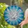 Majestic White Dove Stained Glass Art - Vibrant Tiffany Style Mosaic Window Decor Present Stained Glass Suncatcher - 2