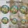 Fairy Butterfly Dandelion Mushroom Forest - Glowing Tiffany Style Mosaic Art Stained Glass Suncatcher - 4