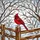Red Cardinal on Snow Covered Fence Post - Tiffany Stained Glass Winter Home Decor Gift Stained Glass Suncatcher - 5