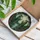 Tiffany Style Witches Frogs Moon Wetland Scene - Glowing Jewel Tone Stained Glass Stained Glass Suncatcher - 3
