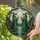 Tiffany Style Witches Frogs Moon Wetland Scene - Glowing Jewel Tone Stained Glass Stained Glass Suncatcher - 2