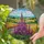 Vibrant Lupine Flowers Road Wheat Fields Tiffany Stained Glass Rolling Hills Gift Stained Glass Suncatcher - 2