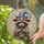 Patriotic Raccoon Wizard Hat Tiffany Glass Mosaic - American Pride Window Decor Stained Glass Suncatcher - 2