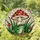 Green Frog Red Eyes Spotted Toadstool Stained Glass - Intricate Jewel Tone Nature Art Stained Glass Suncatcher - 1