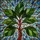 Tiffany Stained Glass Leaf Mosaic - Intricate Jewel Tone Green Leaves High Contrast Artwork Stained Glass Suncatcher - 5