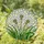 Dandelion Seed Heads Emerald Green Stained Glass - Tiffany Style Luminous Mosaic Art Stained Glass Suncatcher - 1