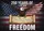 Bald Eagle American Flag We The People 1776-2026 - USA 250 Years of Freedom Anniversary Yard Sign - 6