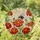 Fuzzy Bumblebee Pollinating Zinnia Flowers Stained Glass Tiffany Style Sunlit Decor Stained Glass Suncatcher - 1