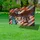 Bald Eagle American Flag 1776-2026 USA 250th Anniversary Freedom Celebration Yard Sign - 4