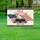 Bald Eagle American Flag Holy Bible Faith Freedom 1776-2026 - USA 250th Anniversary for Veterans Yard Sign - 5
