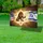 Patriotic Lion Dove Lamb Star of David American Israeli Flag - Unity Peace Symbolism Yard Sign - 4