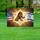 Patriotic Lion Dove Lamb Star of David American Israeli Flag - Unity Peace Symbolism Yard Sign - 5