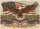 Bald Eagle American Flag 1776-2026 Patriotic USA 250th Anniversary Independence Day Yard Sign - 6