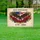 Bald Eagle American Flag 1776-2026 - USA 250th Anniversary Freedom Celebration Yard Sign - 5