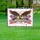 Bald Eagle American Flag 250 Years of Freedom - USA 250th Anniversary (1776-2026) Yard Sign - 5