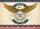 AMERICA 250 Bald Eagle 1776-2026 Freedom Scroll - USA Anniversary Celebration Yard Sign - 6