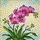Vibrant Phalaenopsis Orchid Stained Glass Art - Tiffany Style Jewel Tone Mosaic Window Decor Stained Glass Suncatcher - 5