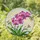 Vibrant Phalaenopsis Orchid Stained Glass Art - Tiffany Style Jewel Tone Mosaic Window Decor Stained Glass Suncatcher - 1