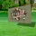 Distressed USA 250th Anniversary Patriotic Floral - 1776-2026 Freedom Celebration Yard Sign - 4