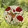 Hummingbird Red Poppy Stained Glass - Iridescent Green Head, Tiffany Jewel Tones Mosaic Stained Glass Suncatcher - 1