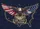 Bald Eagle American Flag 1776-2026 - USA 250th Anniversary Independence Day Patriotic Gift Yard Sign - 6