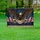 Bald Eagle American Flag 1776-2026 - USA 250th Anniversary Independence Day Gift for Dad Yard Sign - 5