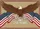 Bald Eagle American Flag "We The People" 1776-2026 - USA 250th Anniversary Gift for Veterans Yard Sign - 6