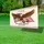 Bald Eagle American Flag 1776-2026 - Founded On Faith & Freedom USA 250th Anniversary Yard Sign - 4