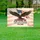 Bald Eagle American Flag Holy Bible 1776-2026 - USA 250 Years Strong Faith Freedom Yard Sign - 5